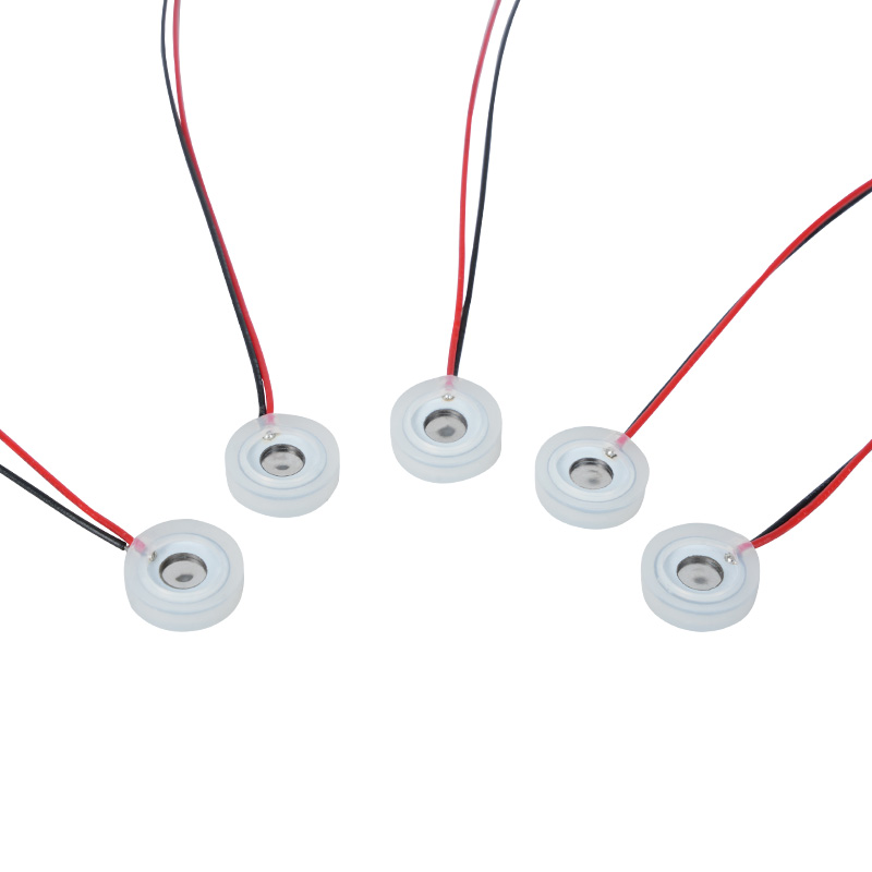 10mm Mikro-Küçük Piezoelektrik Mikro-Mesh Nebulizatör Burun Yıkayıcı Parçası Nemli Göz Alet Spreyi Uçucu Yağ Aromaterapi Mikro Şekilli Küçük Dezenfeksiyon Nemlendirme Nebulizatör Özel, Küçük Mikro Meshin Gücü Sprey Delikleri Açıklık Parçası Ayarlanabilir Nebulizasyon Hızı Ayarlanabilir Parçacıklar Ayarlanabilir