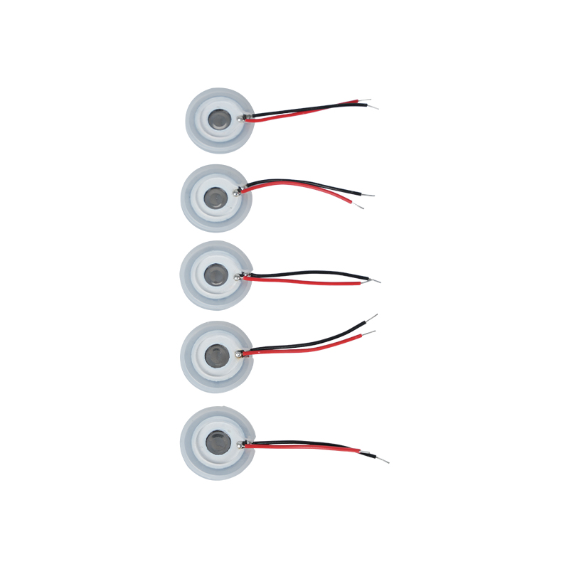 Paslanmaz Çelik Hasır Ultrasonik Sisleme SayfasıAroma Esansiyel Yağı NemlendirmeMikro Gözenekli Sisleme Tepsisi16-110KHZ Püskürtme SayfasıDelik Püskürtme SayfasıMesh Mesh Sisleme Tepsisi
