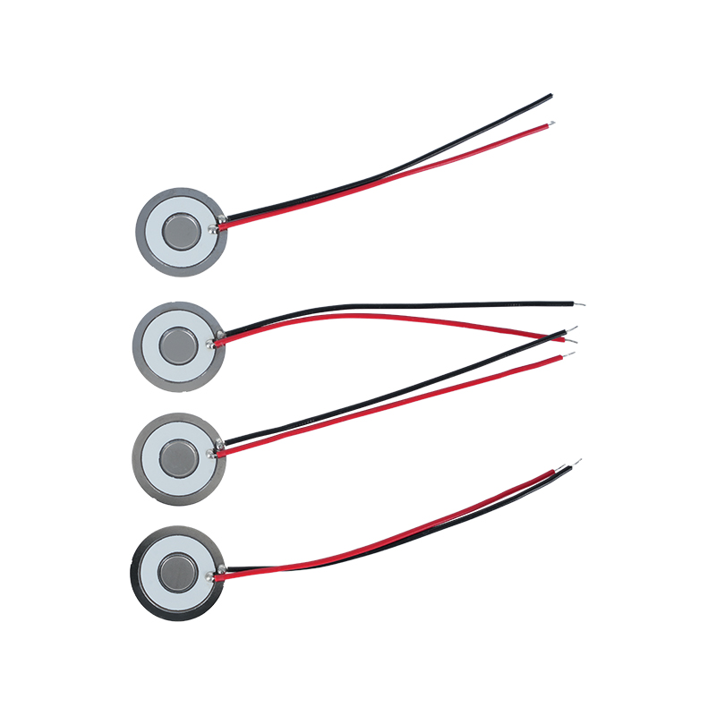 Φ20 Atomizasyon Diski Frekansı 111khz304 Paslanmaz Çelik Mikro Mesh Atomizasyon Diski Mesh Atomizasyon Sayfası Klima Chiller Buzdolabı Taze Nemlendirme Mesh Atomizasyon Dispersiyon Sayfası Atomizasyon Oranı>800ml/H