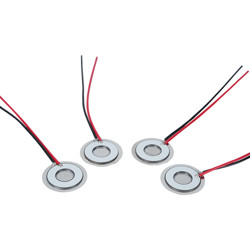Φ20 Atomizasyon Diski Frekansı 111khz304 Paslanmaz Çelik Mikro Mesh Atomizasyon Diski Mesh Atomizasyon Sayfası Klima Chiller Buzdolabı Taze Nemlendirme Mesh Atomizasyon Dispersiyon Sayfası Atomizasyon Oranı>800ml/H